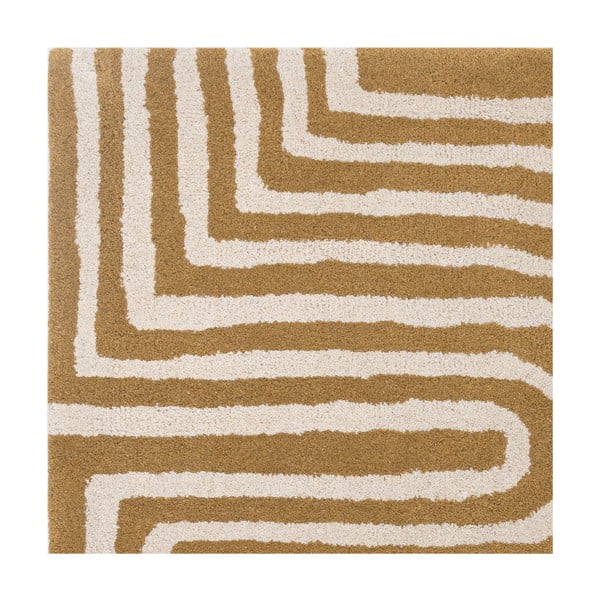 Oker žuti vuneni tepih 120x170 cm Reef – Asiatic Carpets-image-4