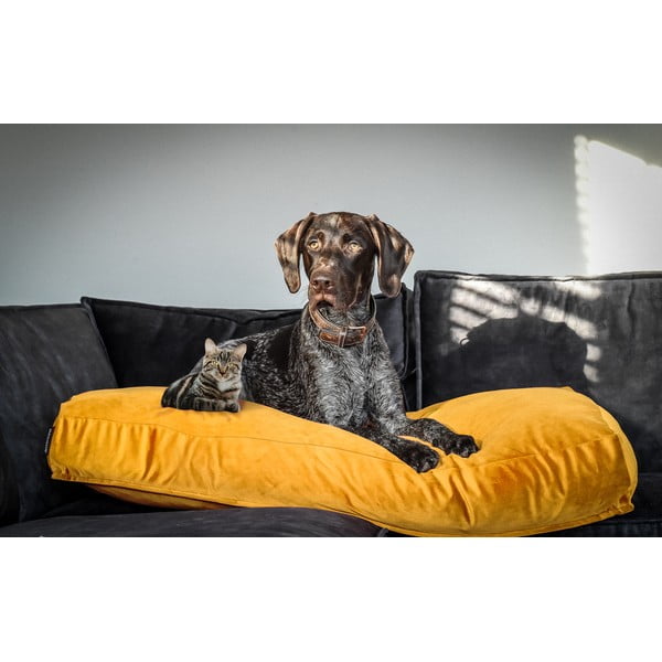 Žuti  krevet za pse 80x55 cm – Madison-image-1