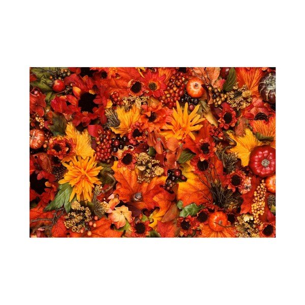 Otirač Zerbelli Margo, 75 x 52 cm-image-3