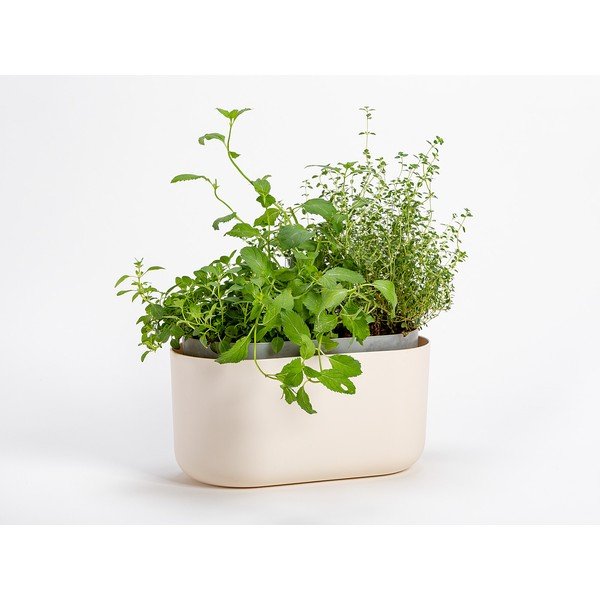 Bež samozalijevajuća tegla Plastia Tolita-image-1