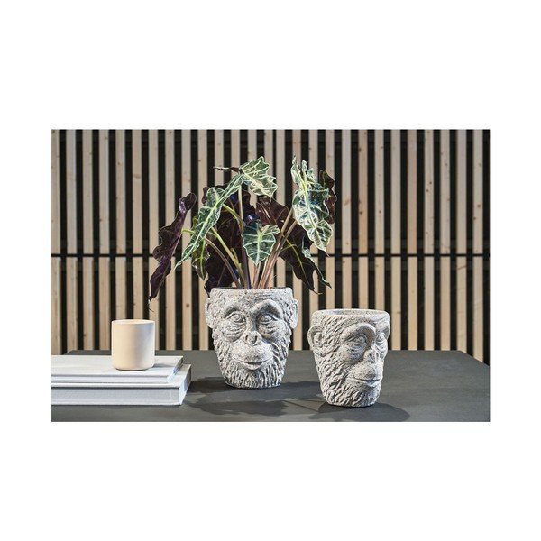 Cementna posuda za cvijeće Villa Collection Calbe, visina 22,5 cm-image-1