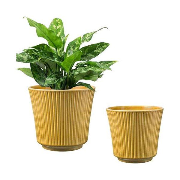 Žuta keramička tegla Big pots Gloss, ø 20 cm-image-1