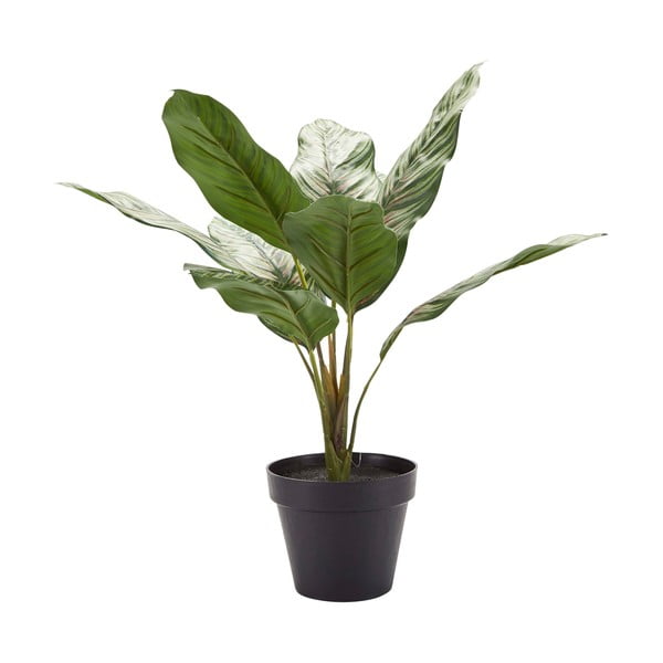 Umjetna biljka Bahne & CO, visina 46 cm