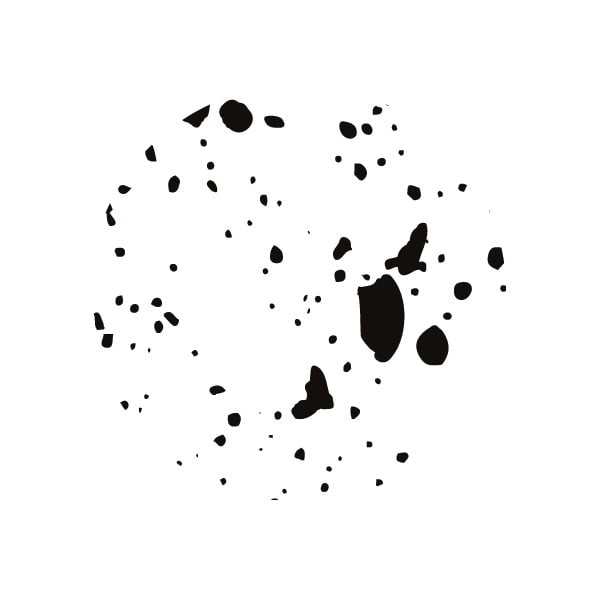 Crno-bijeli organizator dokumenata Bigso Box of Sweden Viktoria-image-4