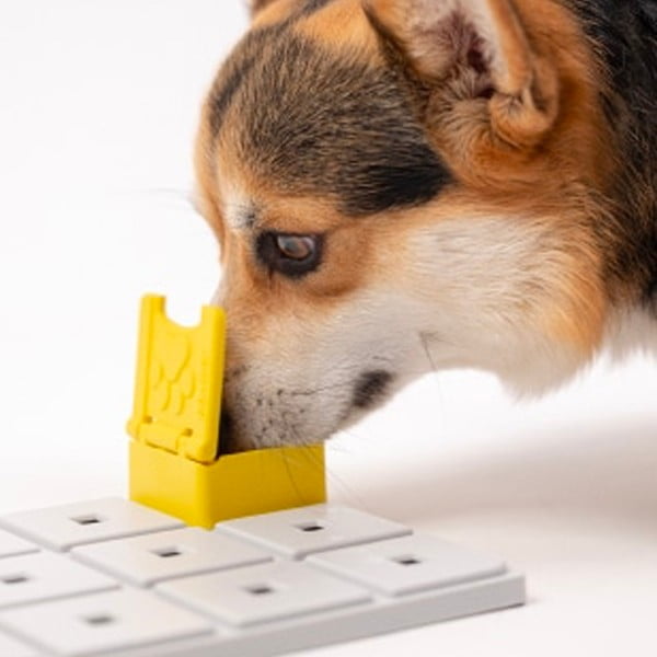 Igračka zagonetka za pse Base – Pawzler-image-1