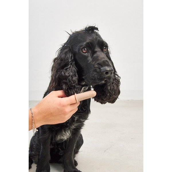 Četkice za kućne ljubimce u setu Dito – MiaCara-image-2