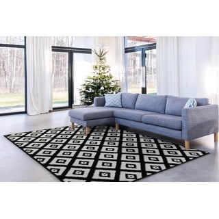 Crno-bijeli tepih 160x220 cm Avanti – FD