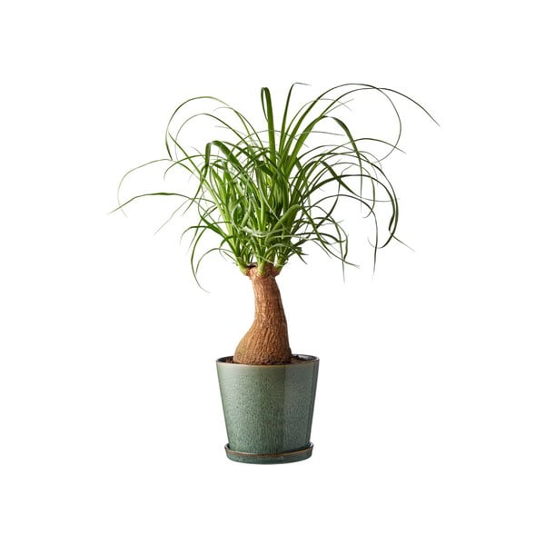 Ukrasna tegla za cvijeće od kamenine ø 14 cm Gastro Green/Black – Bitz-image-1