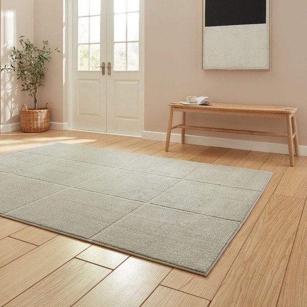 Svijetlo sivi tepih 120x170 cm Elio Silver – Think Rugs-image-2