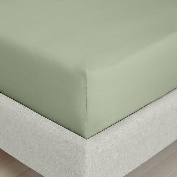 Zelena plahta s gumom od pamučnog perkala 150x200 cm Cotton Percale – Bianca-image-3