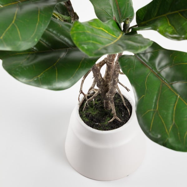 Umjetni fikus (visina 60 cm) Lyrata – Kave Home-image-1