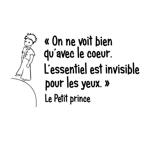 Naljepnica Ambiance Le Petit Prince-image-2