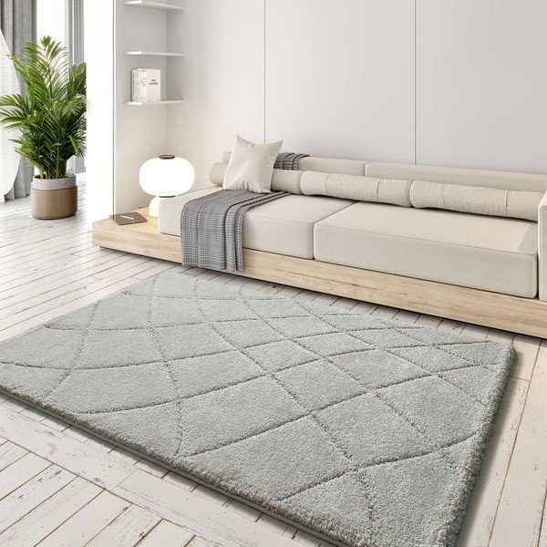 Svijetlo sivi tepih 60x120 cm Molier – Universal-image-1