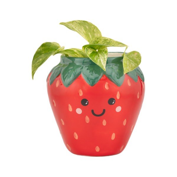 Keramička ukrasna tegla za cvijeće ø 10 cm Strawberry – Sass & Belle-image-1