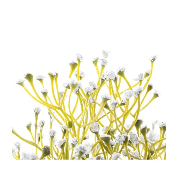 Umjetna biljka (visina 27 cm) Babi – Restilo-image-2