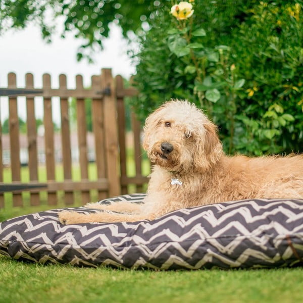 Crni krevet za pse 50x70 cm Outdoor Bed Barn Raven Black S – P.L.A.Y.-image-1