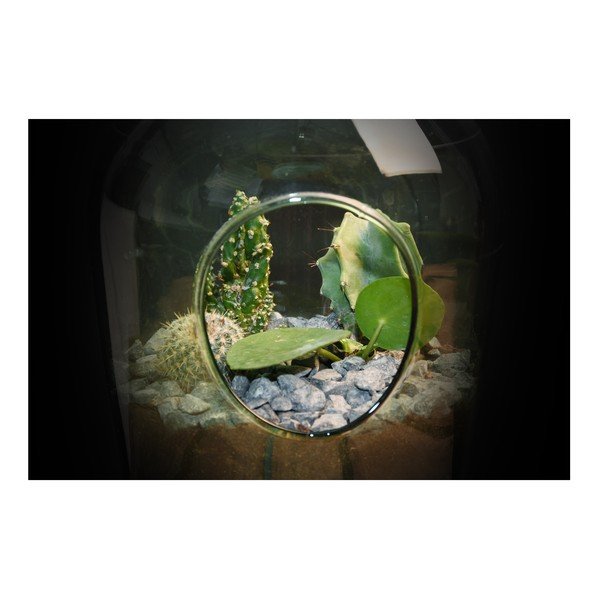 Terarij od kovanog željeza Esschert Design, 3 l-image-1