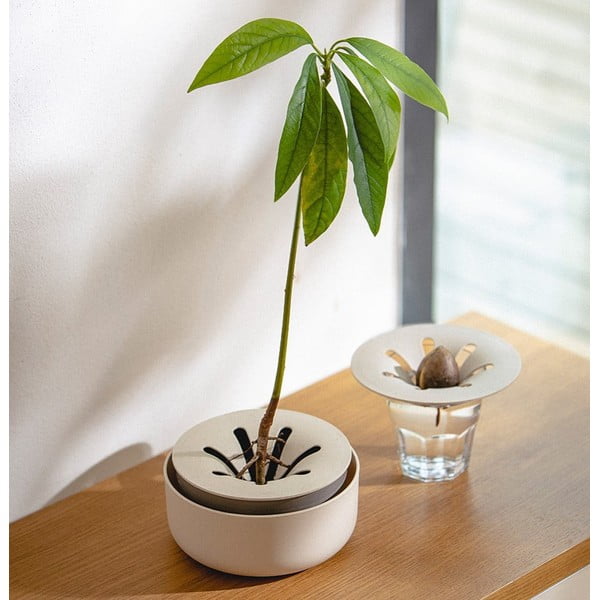 Posuda za klijanje, ø 16 cm Regrow - Plastia-image-1