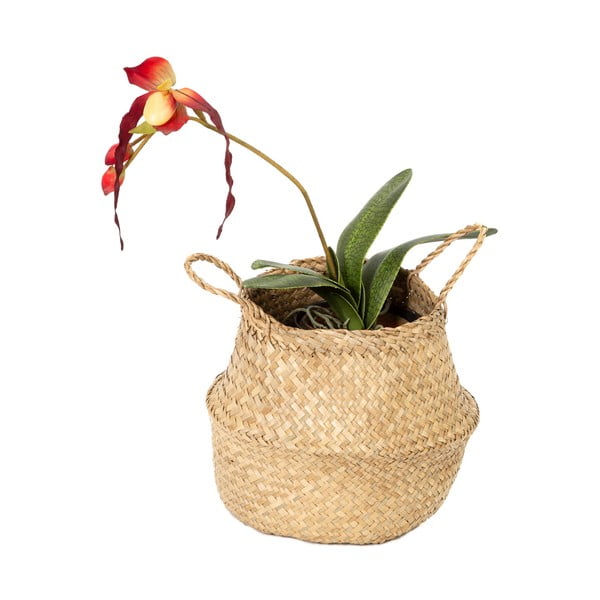 Svijetla košara za odlaganje od morske trave Compactor, ⌀ 27 cm-image-3