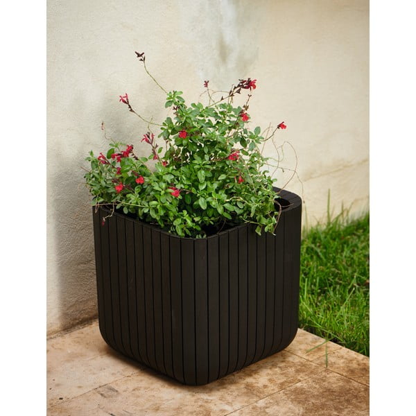 Plastična posuda za cvijeće Cube – Keter-image-1