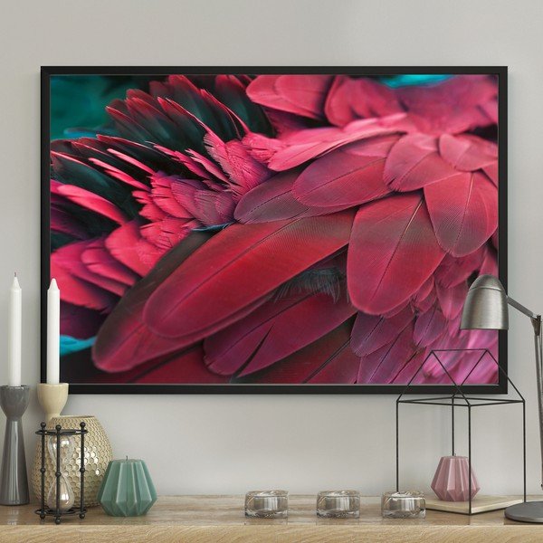Plakat DecoKing Feathers Red, 70 x 50 cm-image-1