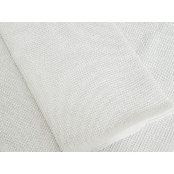 Pamučna kuhinjska krpa 3 kom 40x60 cm Wafle – B.E.S.-image-3