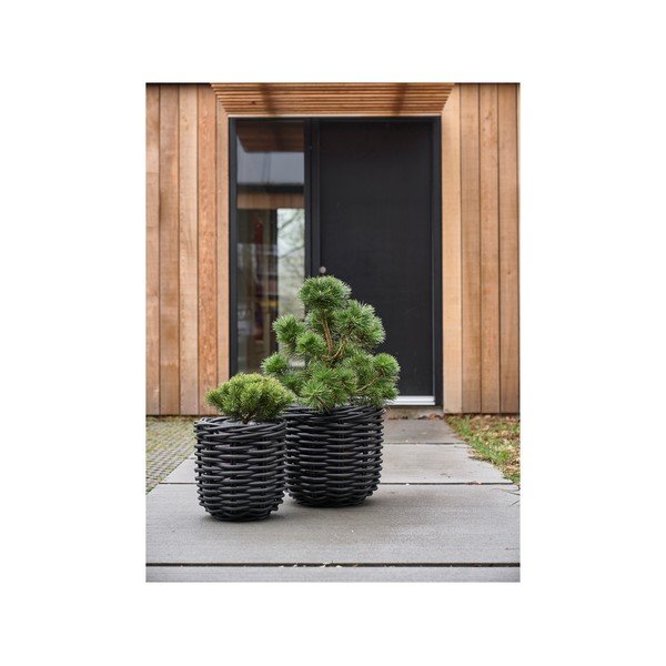 Posude za cvijeće u setu 2 kom od ratana ø 52 cm Vilda – Villa Collection-image-3