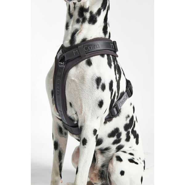 Tamno sivi uprtač L dužina 42 cm Modena Asphalt L – MiaCara-image-2