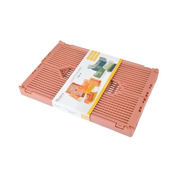 Plastična kutija za pohranu u boji lososa 30x20x11.5 cm – Homéa-image-1