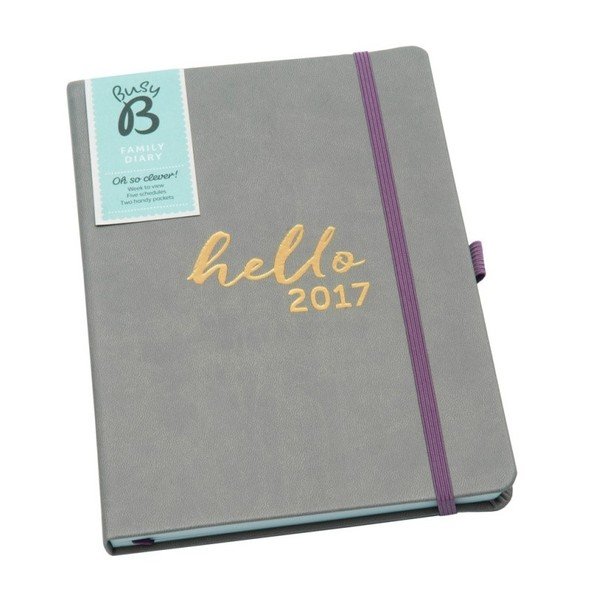 Obiteljski dnevnik zauzetog B planiranja obitelji 2017