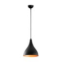 Crna viseća svjetiljka s metalnim sjenilom ø 22 cm Sağlam – Opviq lights