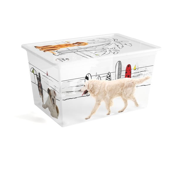 Bijela plastična kutija za pohranu s poklopcem 55x39x31 cm C Box Style – KIS