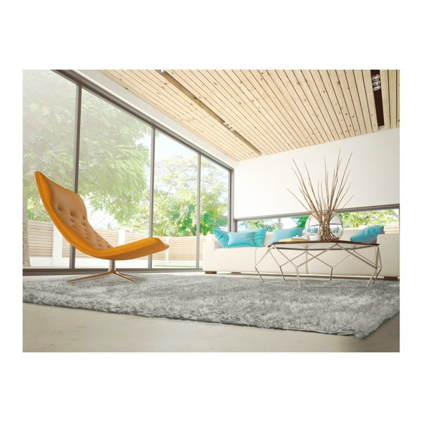 Sivi tepih Universal Aloe Liso, 120 x 170 cm-image-1