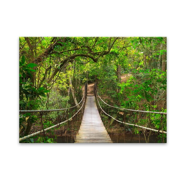 Slika Styler Glas Nature Forest Bridge, 80 x 120 cm