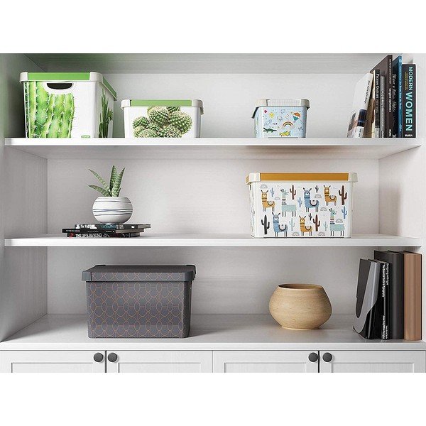 Tamno siva kutija s poklopcem Curver Art Deco, 22 l-image-1