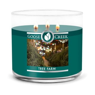 Mirisna svijeća Goose Creek Tree Farm, vrijeme gorenja 35 h
