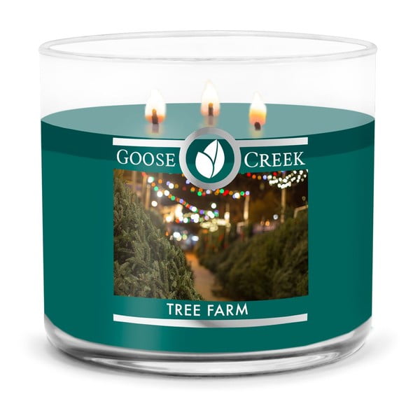 Mirisna svijeća Goose Creek Tree Farm, vrijeme gorenja 35 h