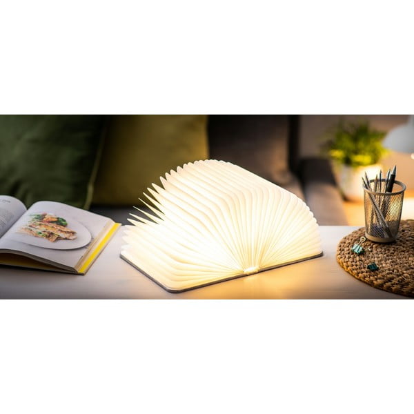 Sivi svjetlosni ukras s USB Booklight – Gingko-image-1