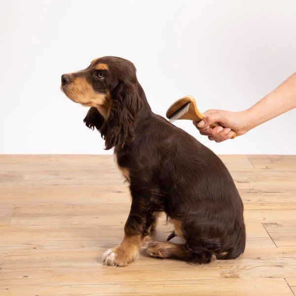 Četka za kućne ljubimce – Love Story-image-1