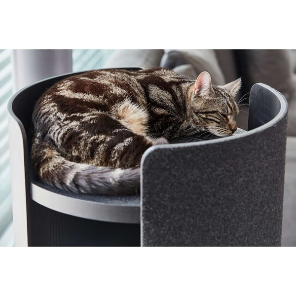 Grebalica za mačke Torre Ash Black S – MiaCara-image-1