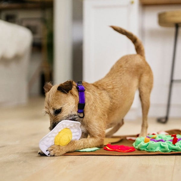 Podloga za njuškanje Brunch – P.L.A.Y.-image-1