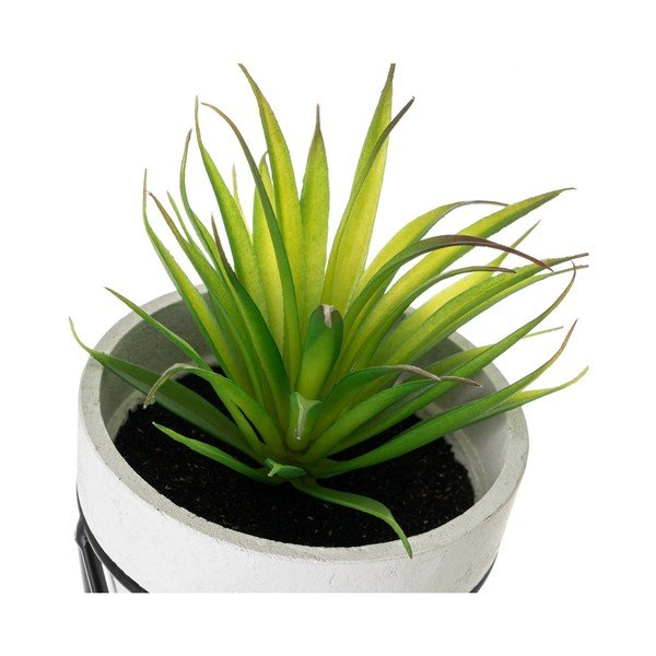 Umjetne biljke u setu 4 kom – Casa Selección-image-4