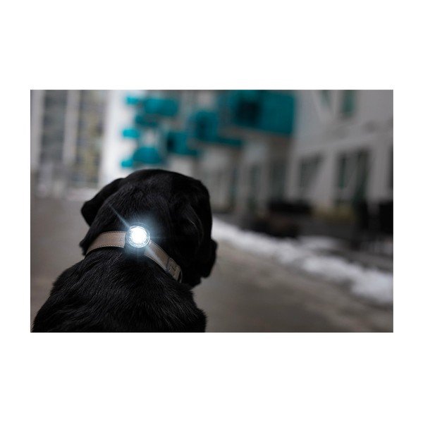 LED svjetlo za ovratnik Dark - Orbiloc-image-4
