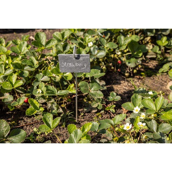 Tabelica od škriljca na štapiću Esschert Design-image-3