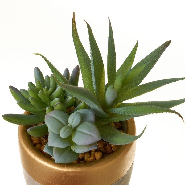 Umjetne biljke u setu 4 kom (visina 17 cm) Cactus – Casa Selección-image-3