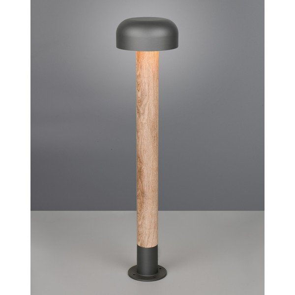 Stojeća vanjska svjetiljka ø 19 cm Fraser – Trio-image-1