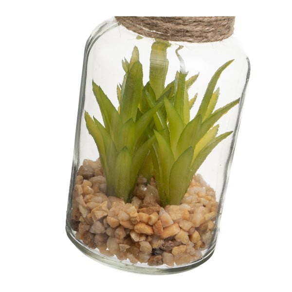 Umjetne biljke u setu 4 kom (visina 12 cm) Cactus – Casa Selección-image-4