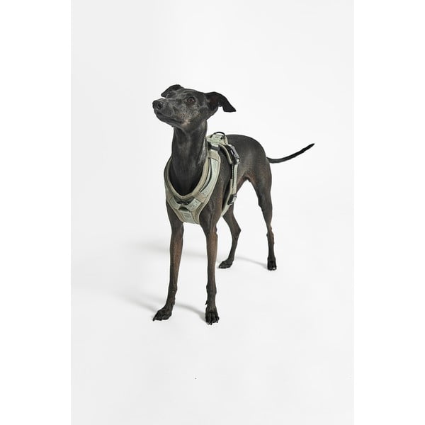 Zeleni uprtač L dužina 42 cm Modena Grolive L – MiaCara-image-4