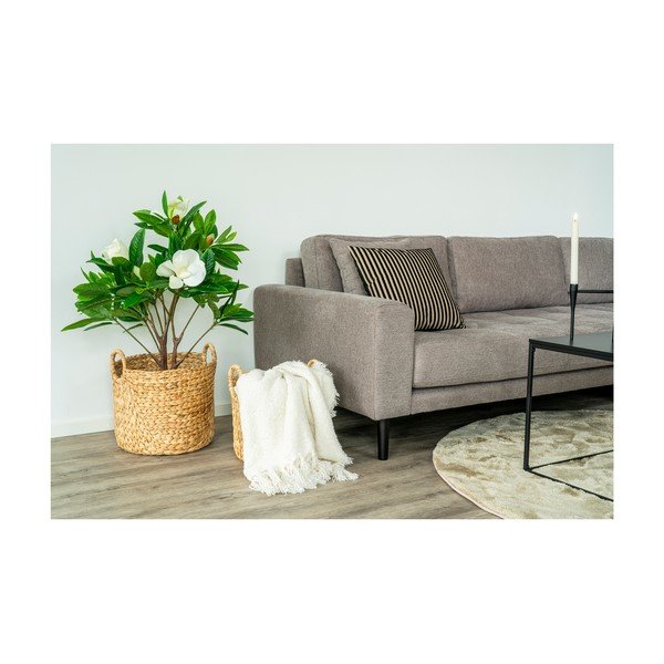 Ukrasni jastuk 43x43 cm Serpa – House Nordic-image-3