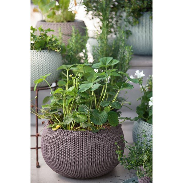 Plastična viseća i zidna posuda za cvijeće ø 36 cm Cozy – Keter-image-1